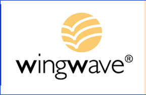 Grafik wing wave logo
